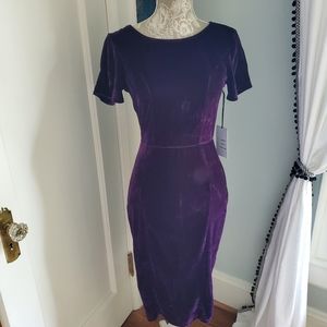 Unique Vintage Purple Velvet Sheath Dress